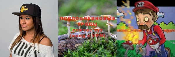 стаф Аркадак