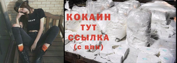 стаф Аркадак