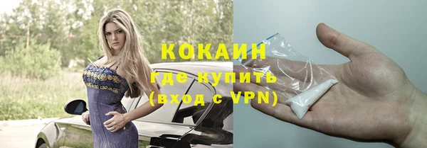 стаф Аркадак