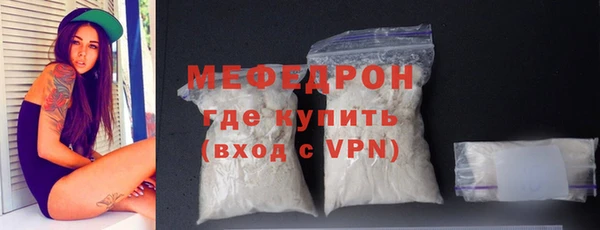 стаф Аркадак