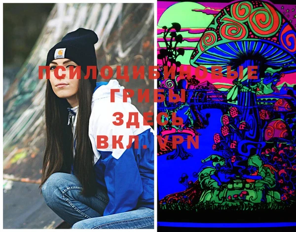 стаф Аркадак