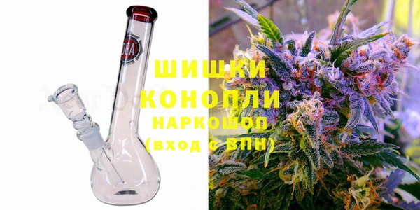стаф Аркадак