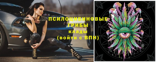 соль курить ск Арсеньев